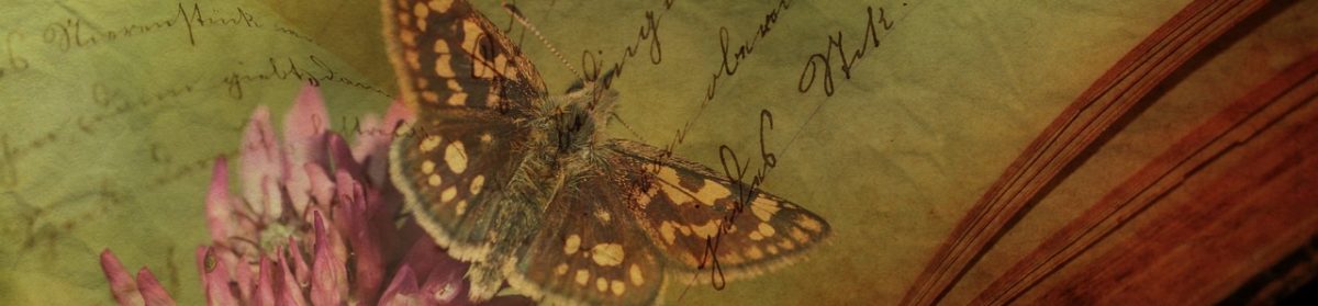 Chôhime – Livres et papillons